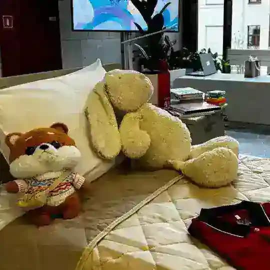 Одеяло. Убежало