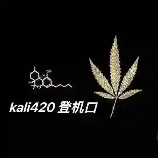 💎卡利登机口