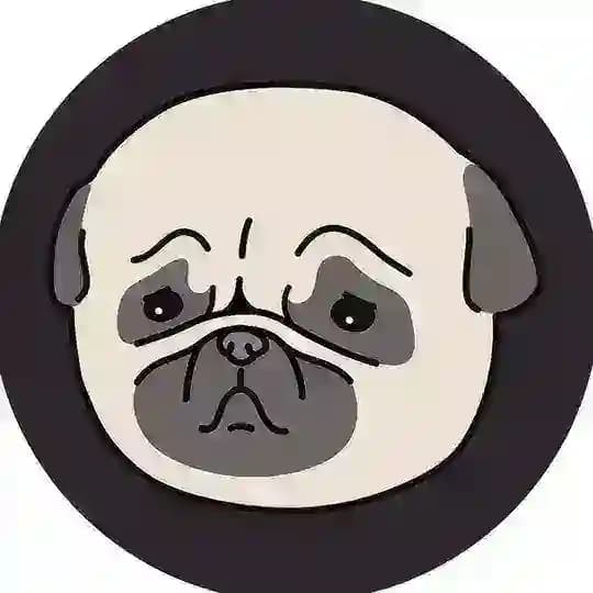 $PUGGY | Announcement