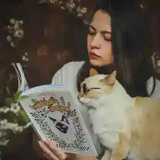 книги и котики