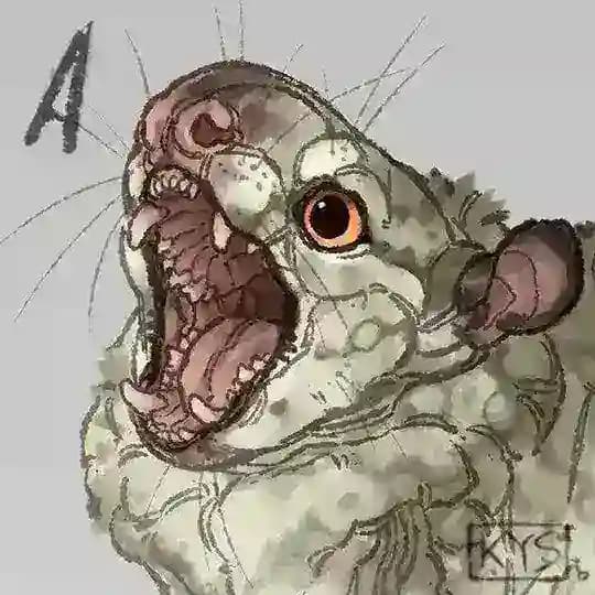 кусиска kusiska