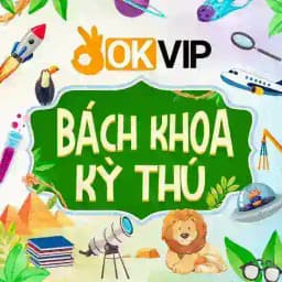 BÁCH KHOA KỲ THÚ Profile