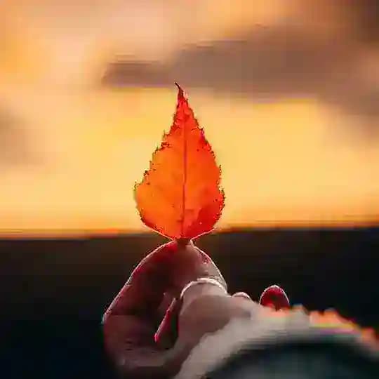 Old Hindi, Mp3 Song, HD Video