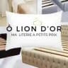 Ô LION D'OR