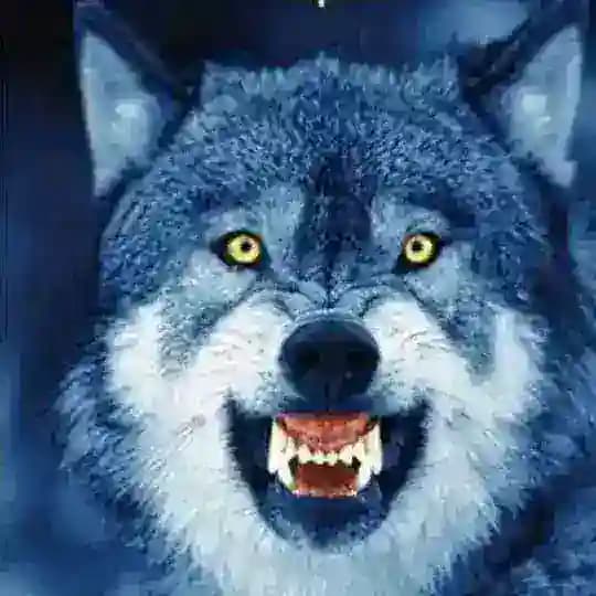 Strategie per affrontare il black out Profile