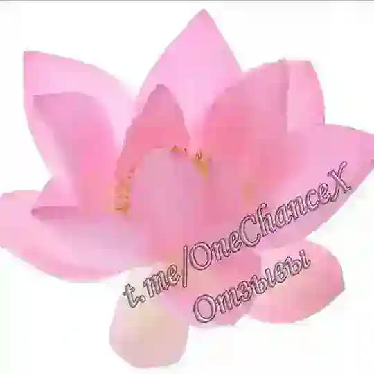 oneChance / ОТЗЫВЫ