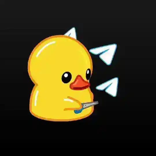 One Duck