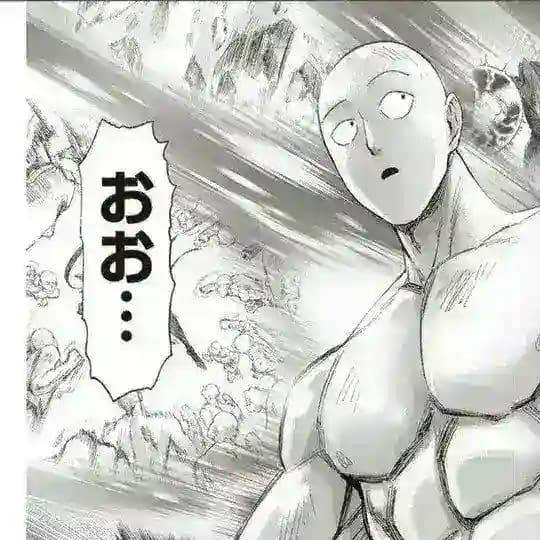 ONE PUNCH MAN VF