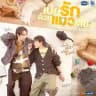 Cat For Cash (cyber Raikan) sub indo