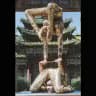 ONLY CONTORTION FANS