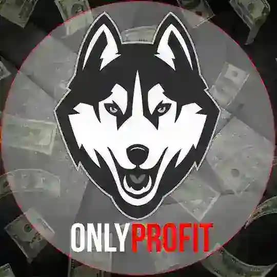 OnlyProfit – только заработок, только профит