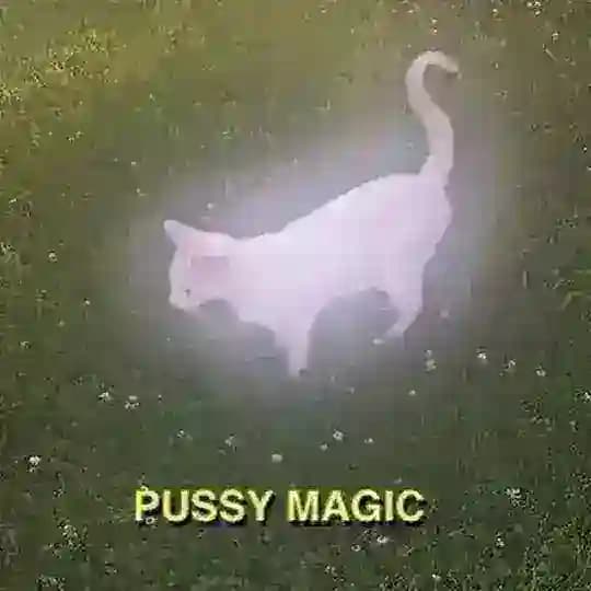 PussyPIC