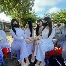 Ôn thi cấp tốc 🔞 Profile