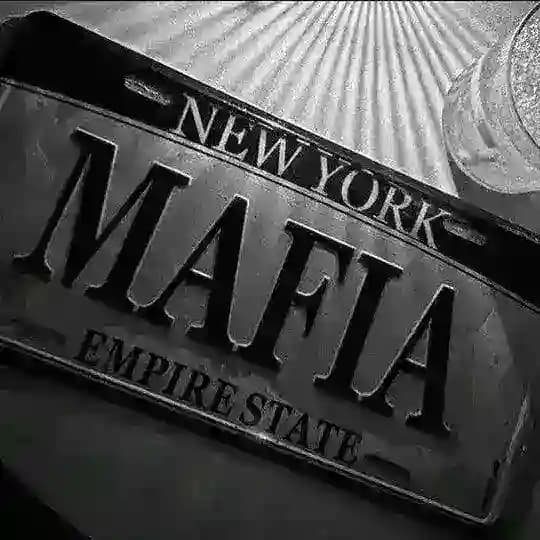 STORY MAFIA IN TIES Profile