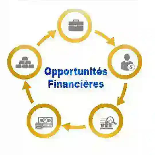 🇫🇷𝗢𝗣𝗣𝗢𝗥𝗧𝗨𝗡𝗜𝗧𝗘 𝗙𝗜𝗡𝗔𝗡𝗖𝗜𝗘𝗥𝗘 💸💰💳 Profile