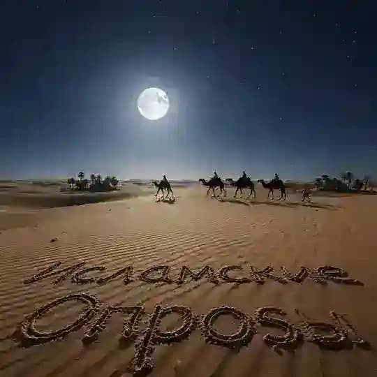 Исламские Опросы