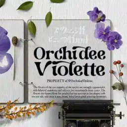 ა Orchideè Violette .ׅOPEN Profile