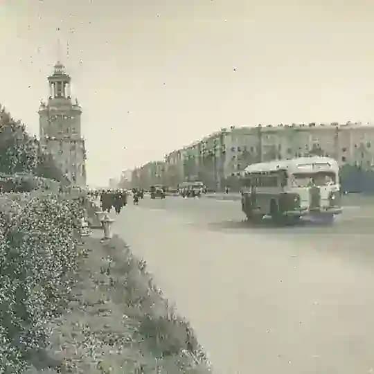 ПРОСЕКА