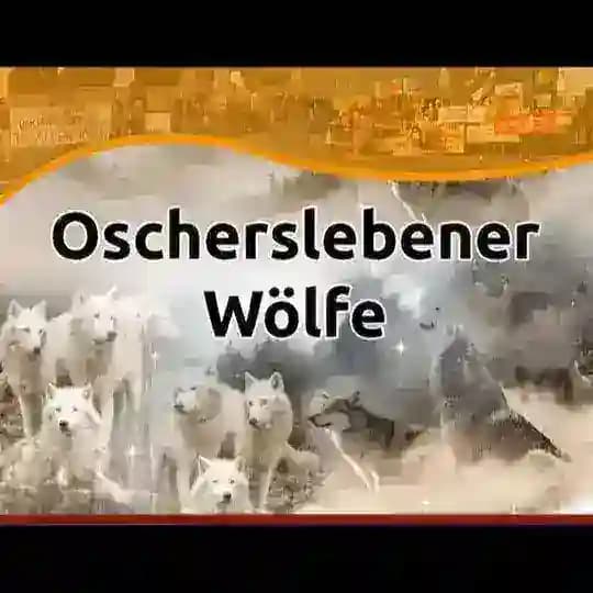OSCHERSLEBENER_WOELFE