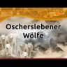 OSCHERSLEBENER_WOELFE