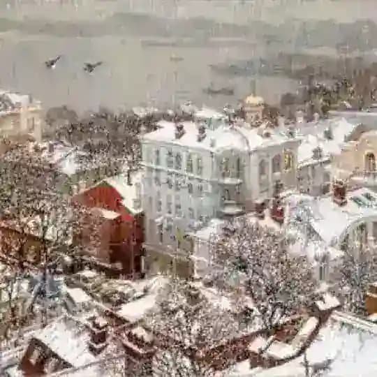 Художники Осиповы
