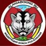 Федерация бокса РСО-Алания