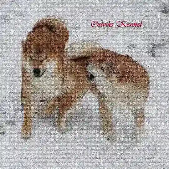 Питомник собак «Оствикс»