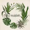 osya|plants