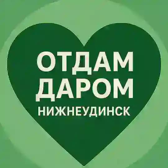 Отдам даром | Нижнеудинск