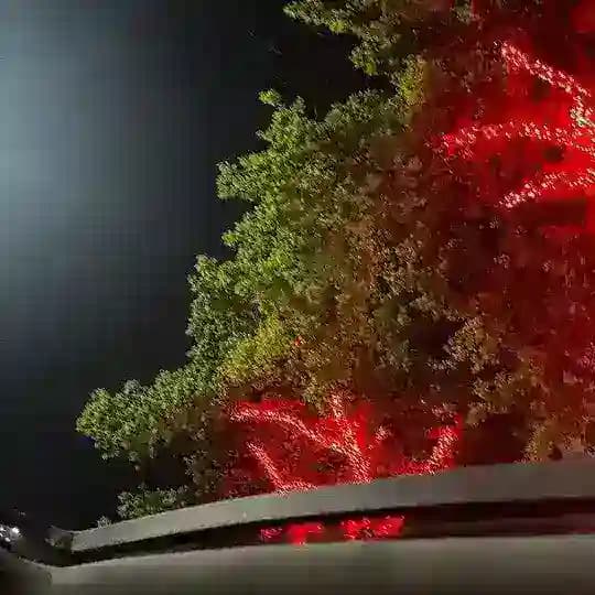Ovozli statuslar