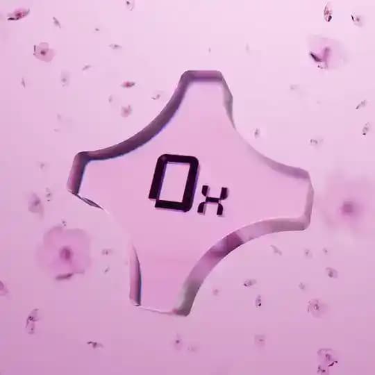 0xConnect Girls