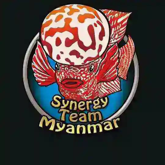 P1 FH ๐ฒ๐ฒ Profile