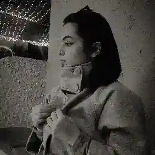 بچه‌گربه‌ی سفید