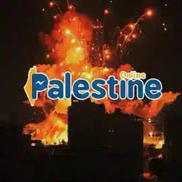 Palestine Online 🇵🇸🇵🇸 Profile