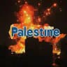 Palestine Online 🇵🇸🇵🇸