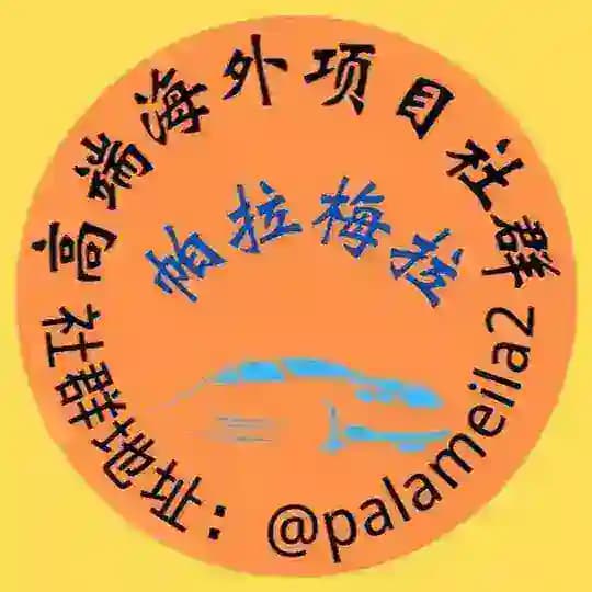 帕拉梅拉π-供需频道