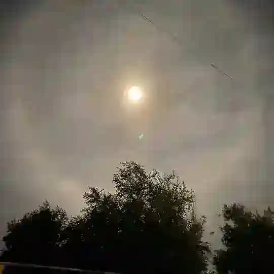 Палласовка любит❤️🔥