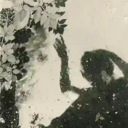 أرشيف النوادر.