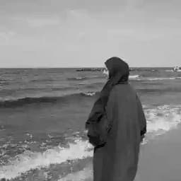 𝑝𝑎𝑟𝑎𝑑𝑖𝑠𝑒 Profile