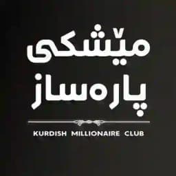 مێشکی پارەساز Profile