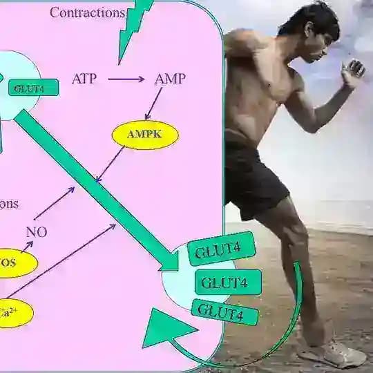 Pathophysiology
