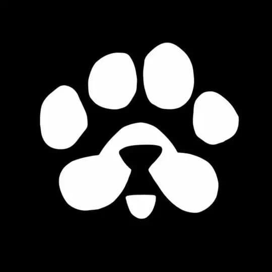 PAWS AirDrop 🐾