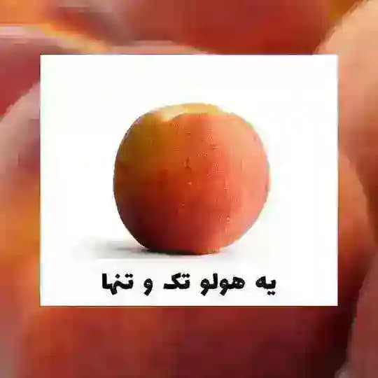 پایه دهم یازدهم