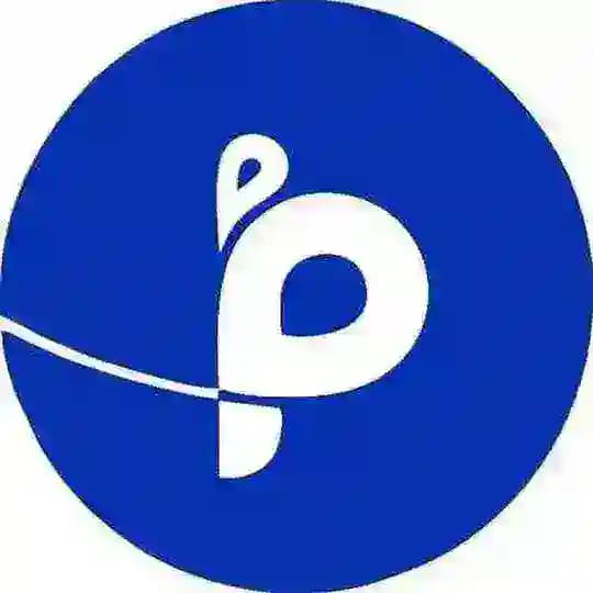 PB PAGEZ LIMITED