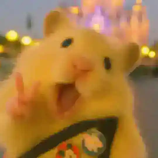 Mouse🐁