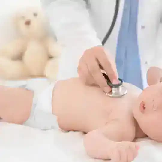 قناة الجعكي بيديا دفعة 19 الزاوية