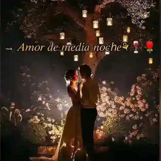 ⇝ 𝐴𝑚𝑜𝑟 𝑑𝑒 𝑚𝑒𝑑𝑖𝑎 𝑛𝑜𝑐ℎ𝑒⚘🍷🌹 Profile