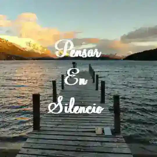 Pensar En Silencio Profile