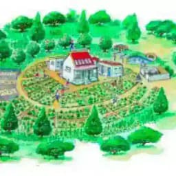 Permacultura, Ecoaldeas, Bioconstrucción y Autosuficiencia Profile