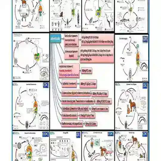 Pharmaceutical article and product